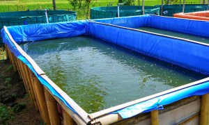 Pool cover