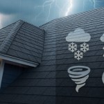 weathering the storm blog