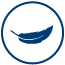 ICON-Lightweight